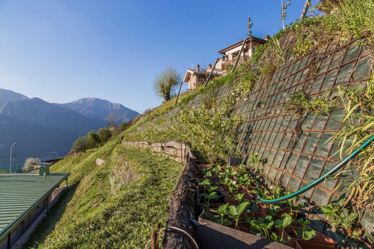 Agriturismo Alveare Sul Lago Pisogne Extérieur photo